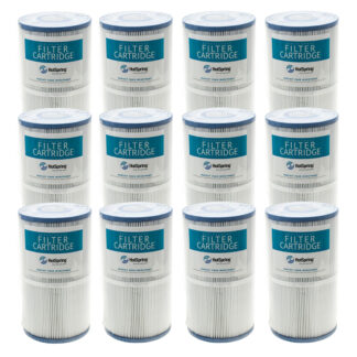 Filter Cartridge, Hot Spring / Hot Spot and Solana (Case of 12)
