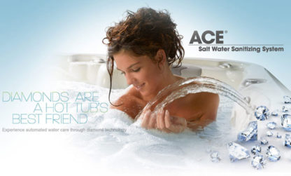 ACE Salt Water Sanitizing System